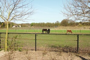 Pemandangan dari bilik