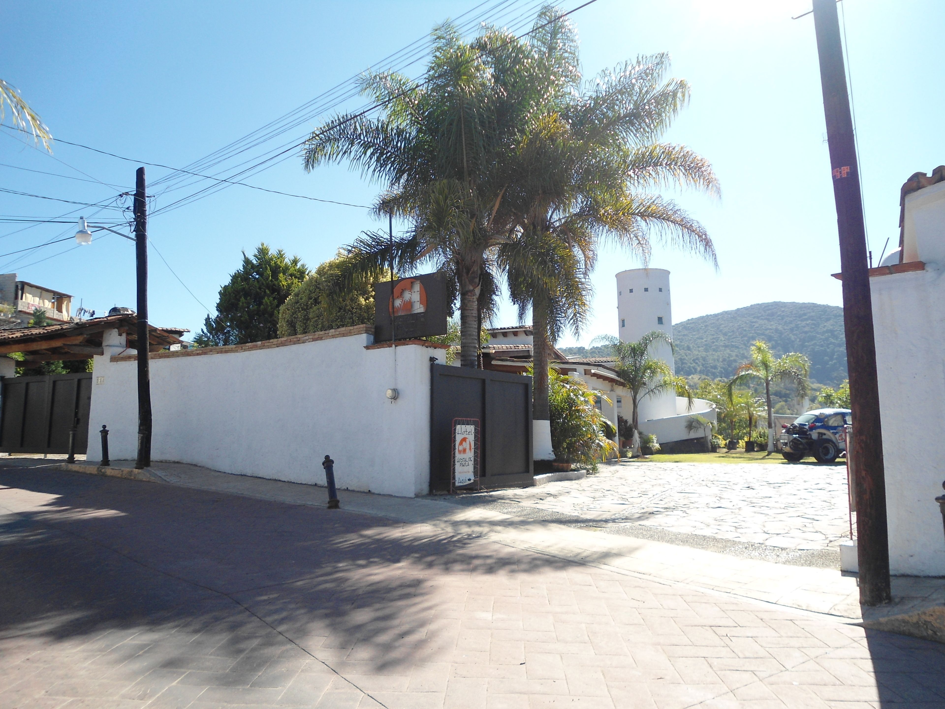 A hotel entrance with a white wall, a palm tree, and a mountain in the background.