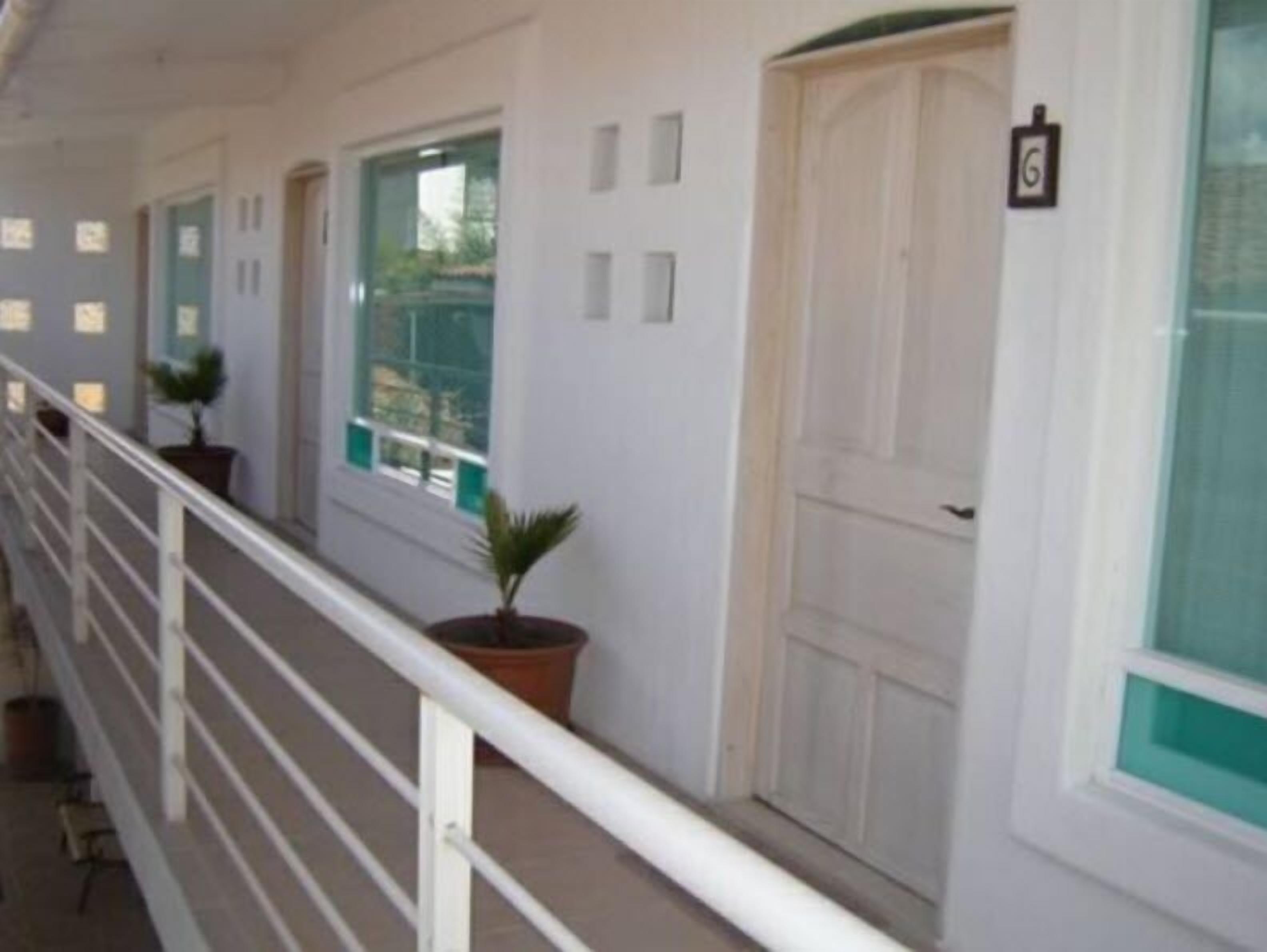 A corridor with white doors and windows, potted plants, and a white railing.