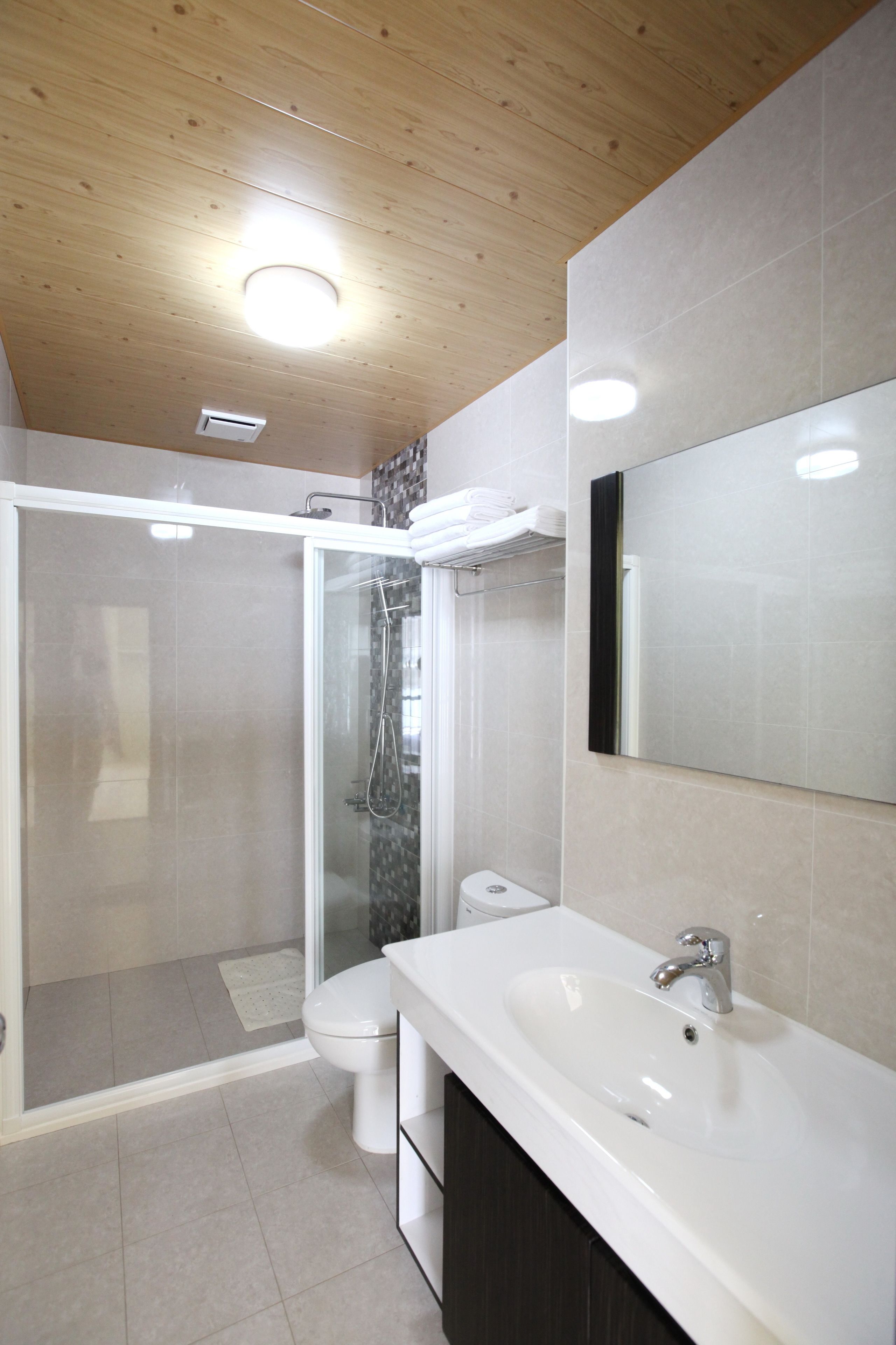 Et moderne badeværelse med bruser, toilet og vask.