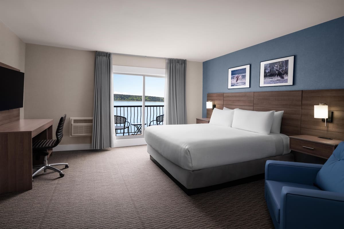 Suite, 1 King Bed, Balcony, Ocean View (Living Room) | Iron/ironing board, free WiFi, bed sheets