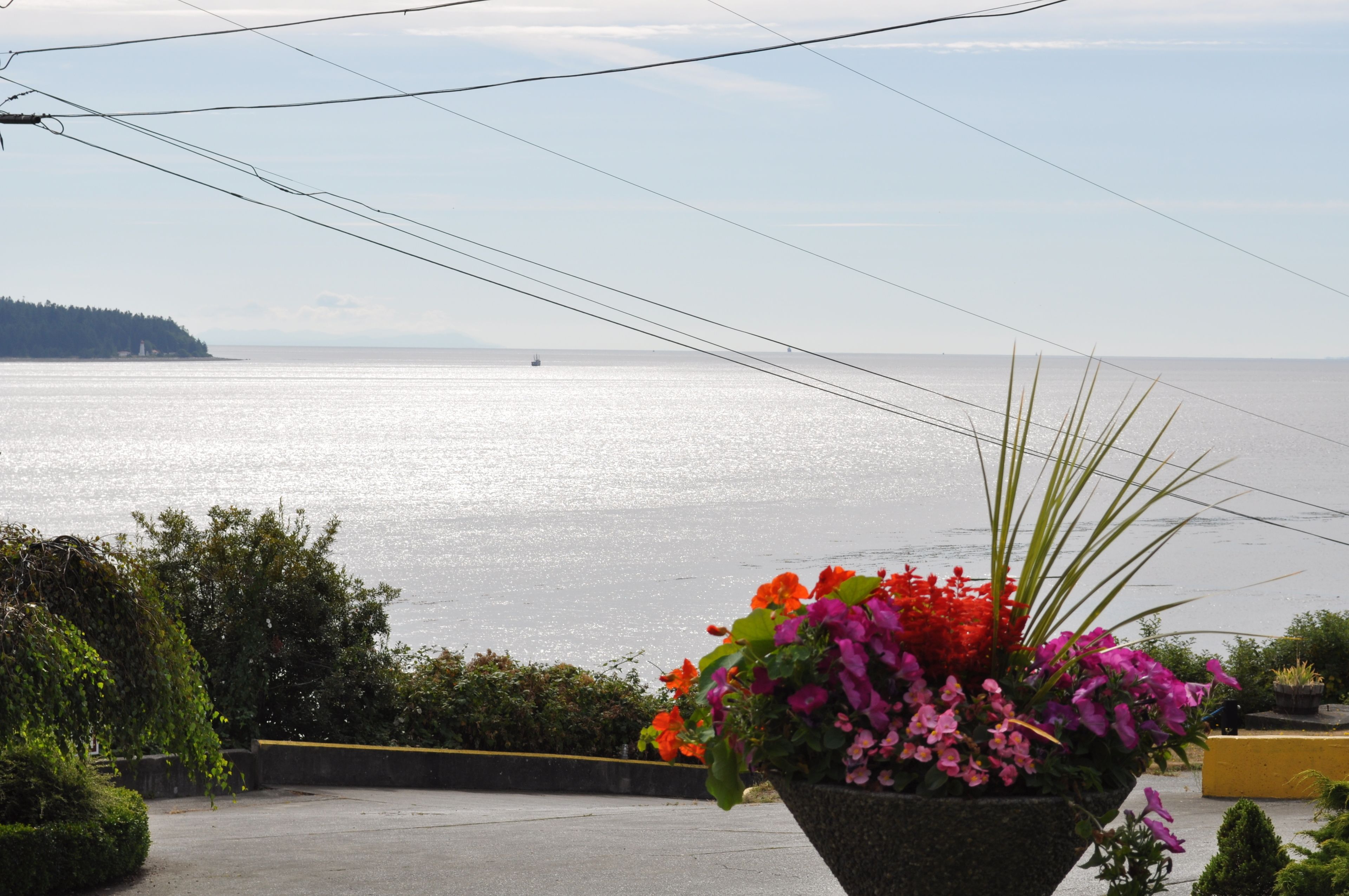 Vista desde la propiedad