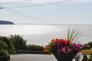 Vue depuis l’hébergement