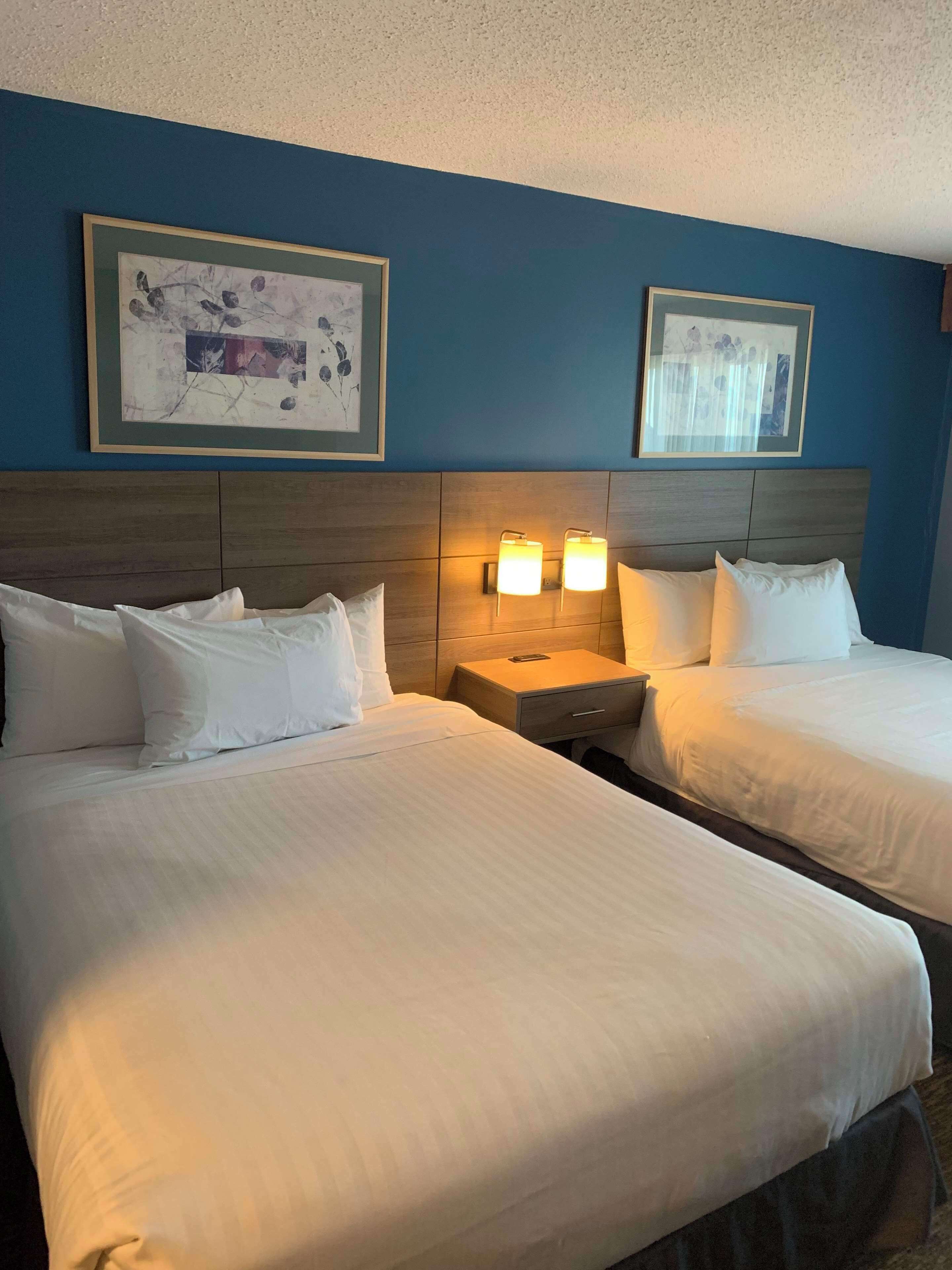 Chambre Standard, 2 grands lits, balcon, en face de la plage (Pet Friendly) | Fer et planche à repasser, accès au Wi-Fi (inclus), literie fournie