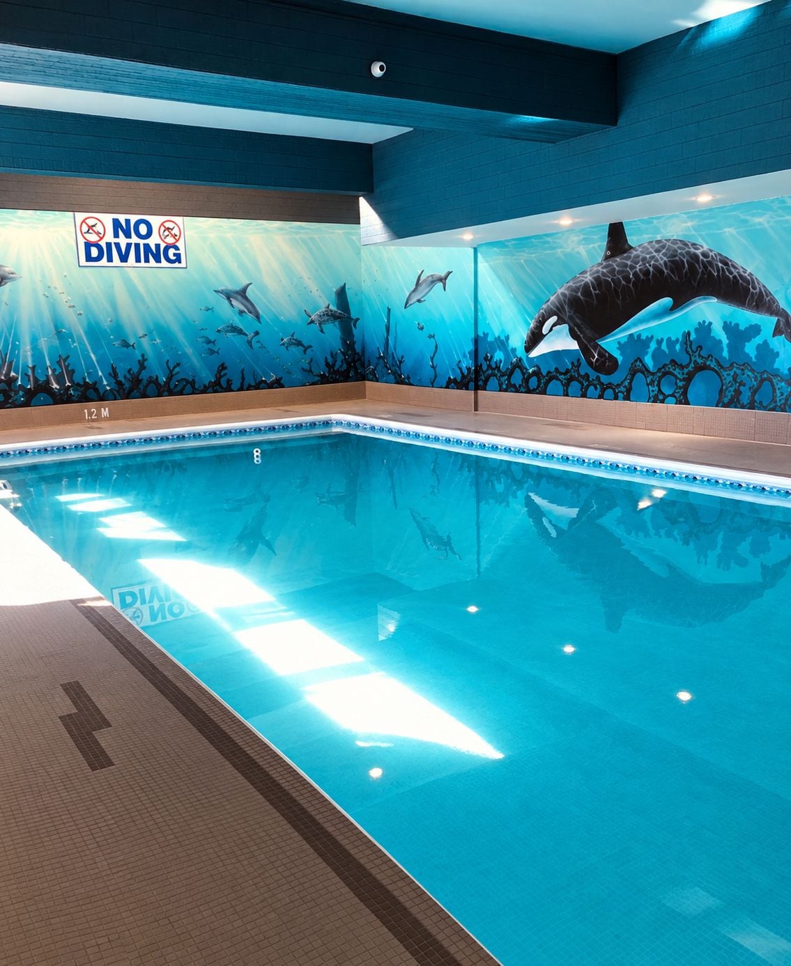 An indoor swimming pool with a 'NO DIVING' sign, a dolphin mural, and a depth marker of 1.2 meters.