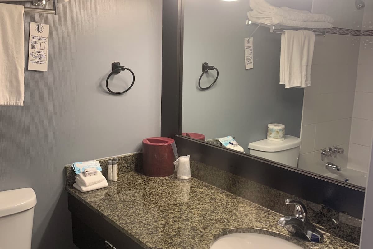 family suite, 2 bedrooms, ocean view | bathroom | combined shower/bathtub, free toiletries, hair dryer, towels