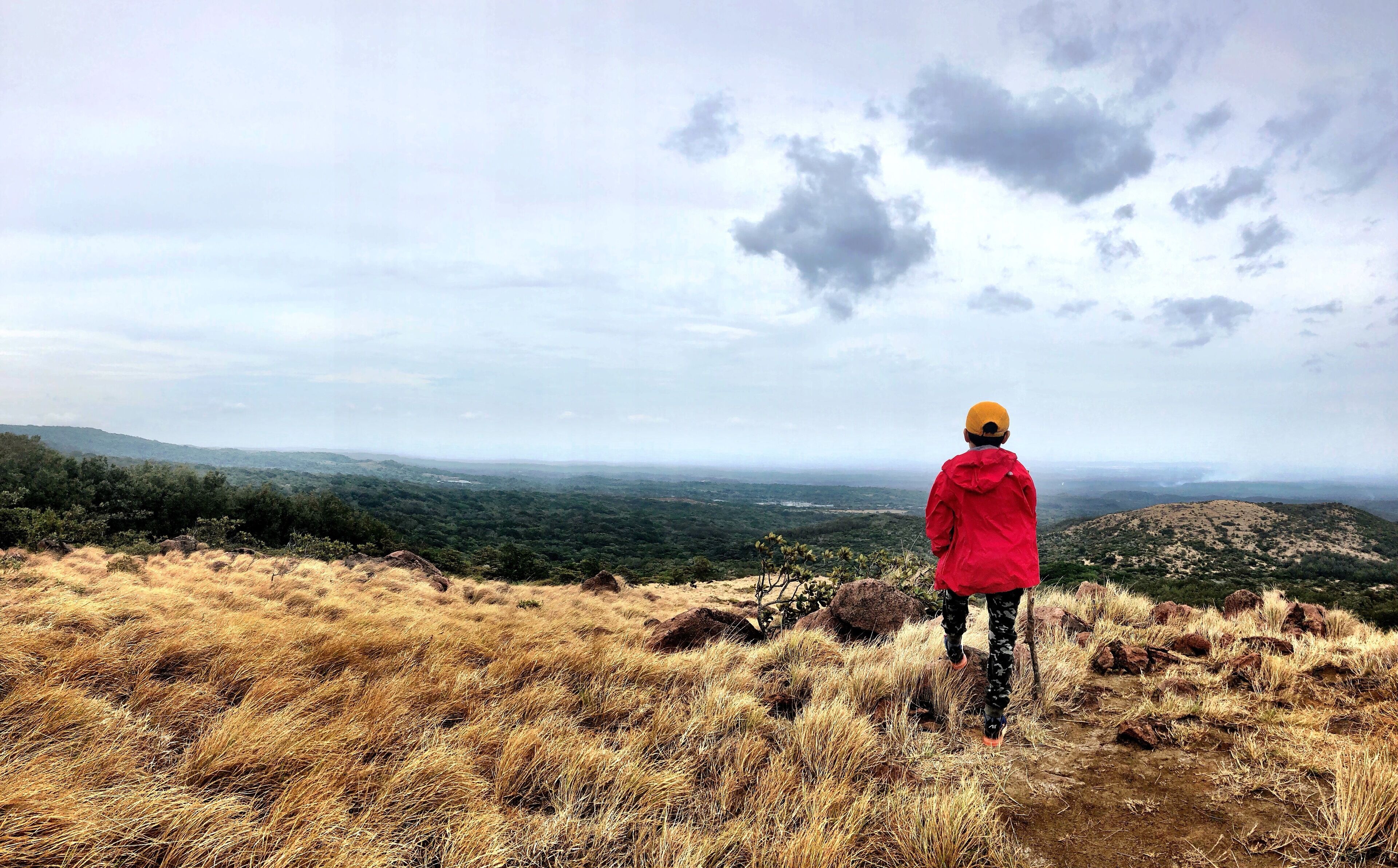 A person standing on a grassy hill overlooking a valley with a cloudy sky.