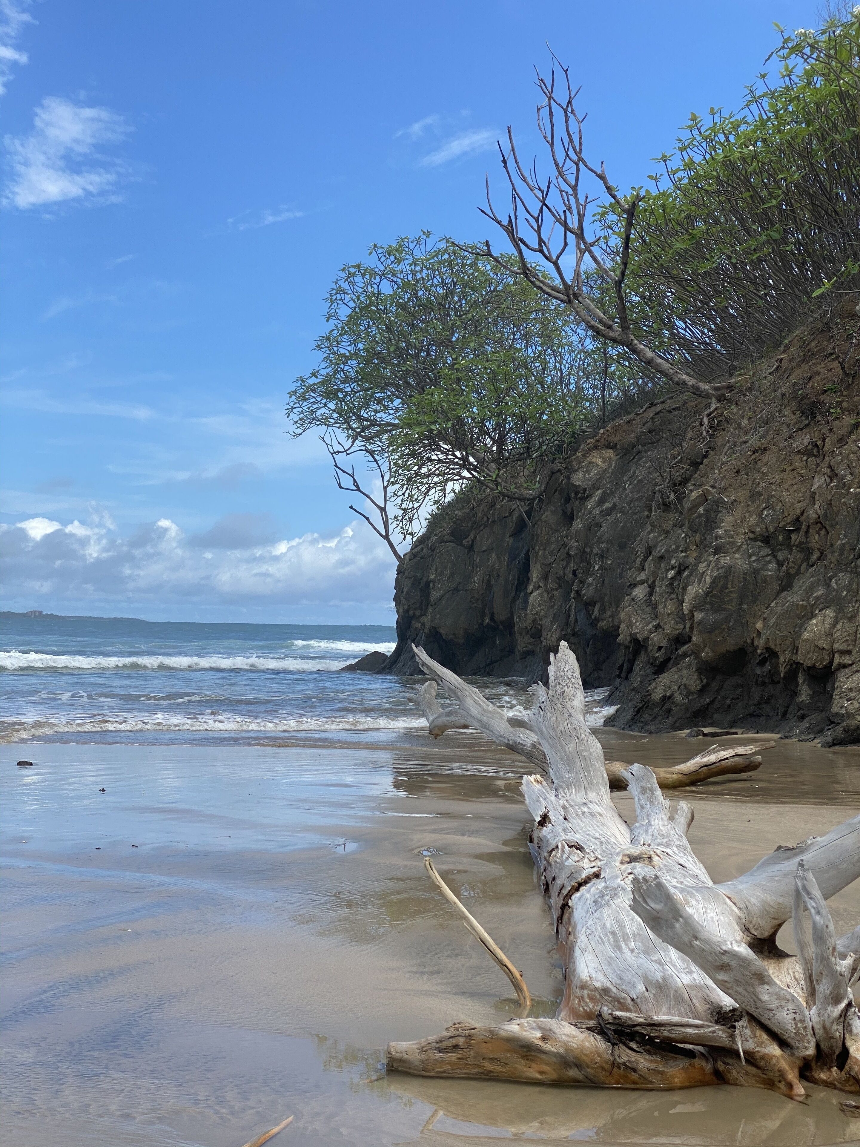 A beach with a large driftwood log, a rocky cliff, and the ocean.