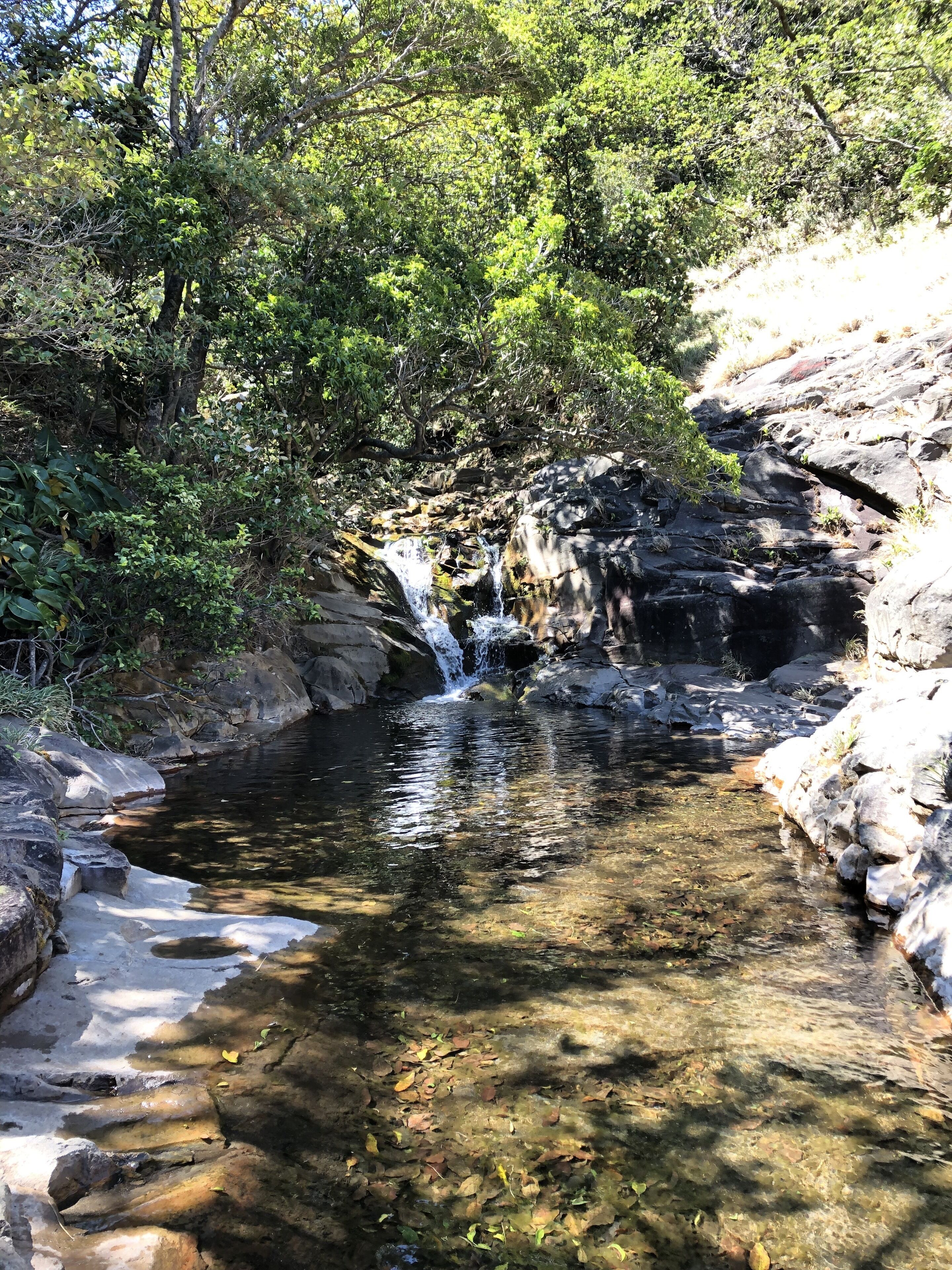 A natural water feature with a small waterfall, surrounded by rocks and dense foliage.