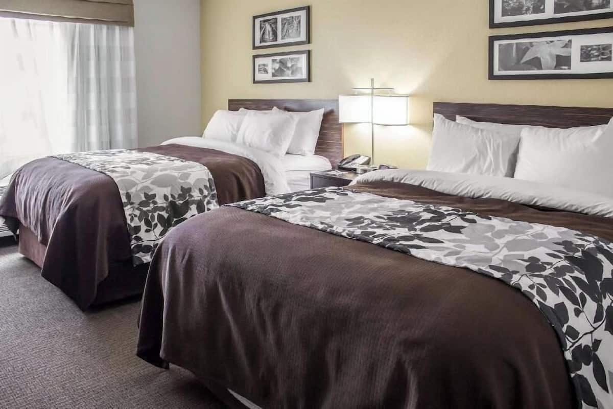 A hotel room with two beds, a nightstand with a lamp, and framed pictures on the wall.