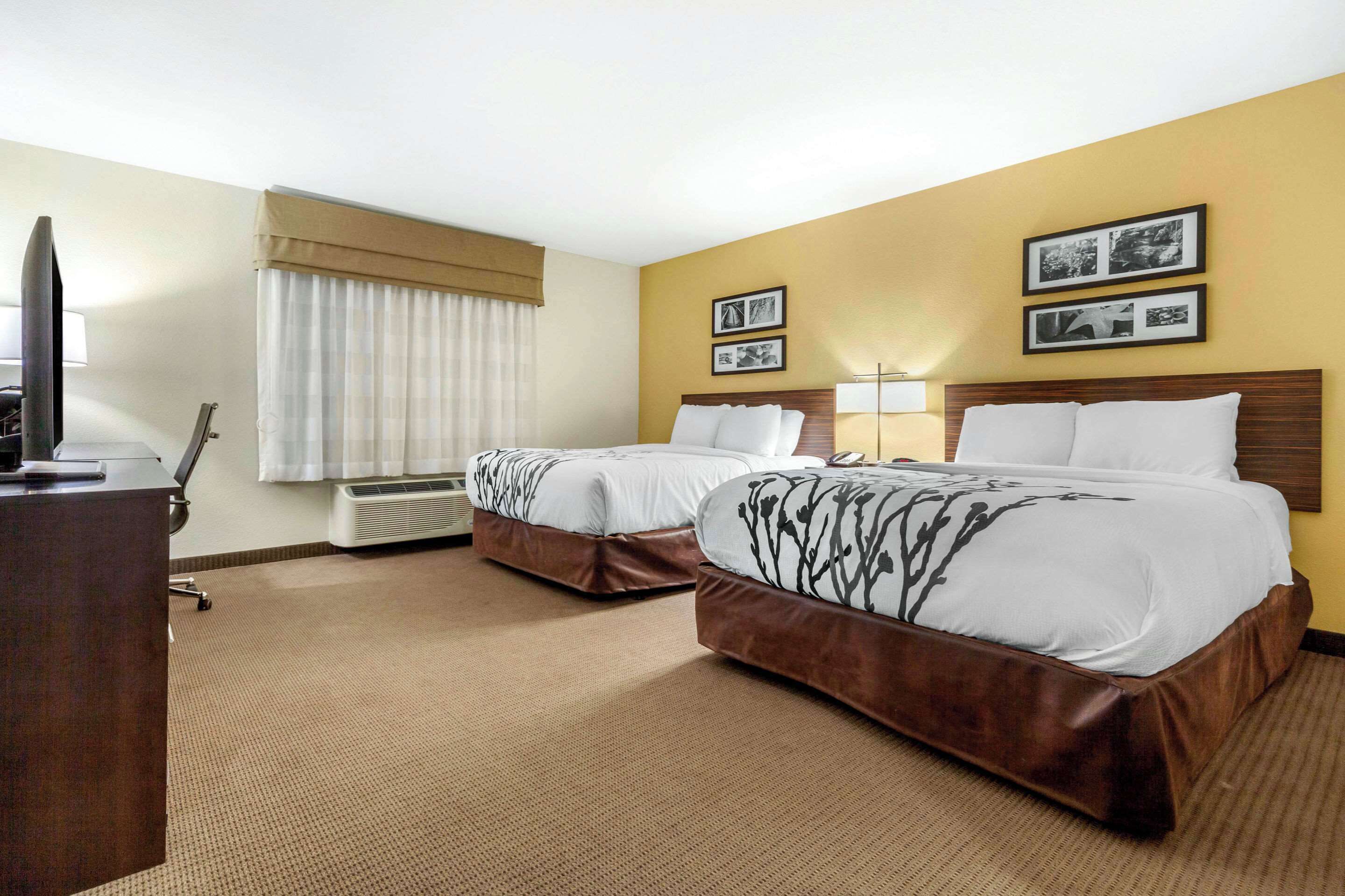 A hotel room with two beds, a desk, a television, and framed pictures on the wall.