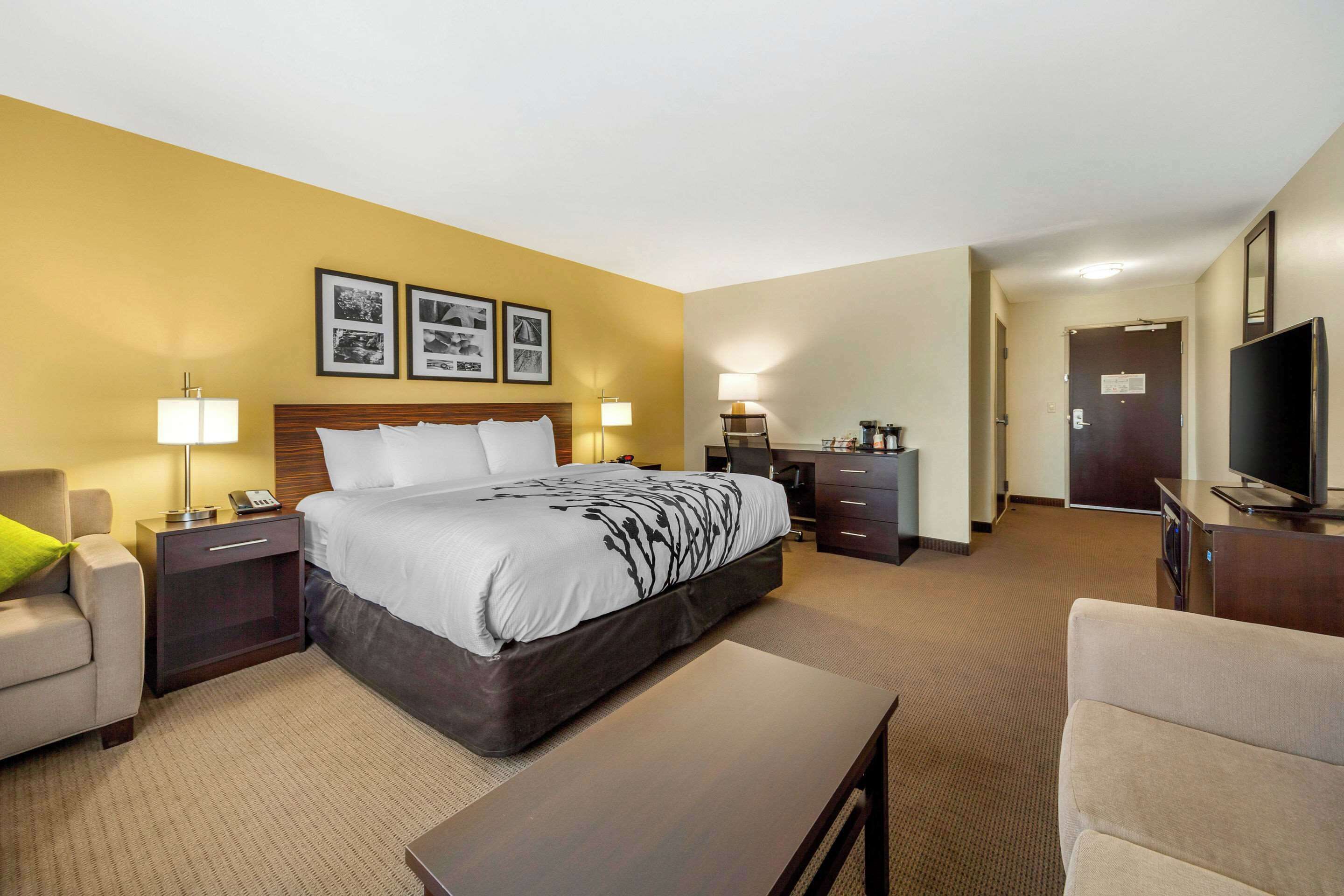 suite, 1 king bed with sofa bed, accessible, non smoking | premium bedding, down duvets, desk, laptop workspace