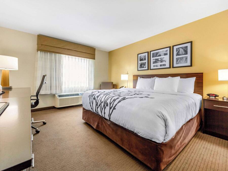 Premium bedding, down duvets, desk, laptop workspace