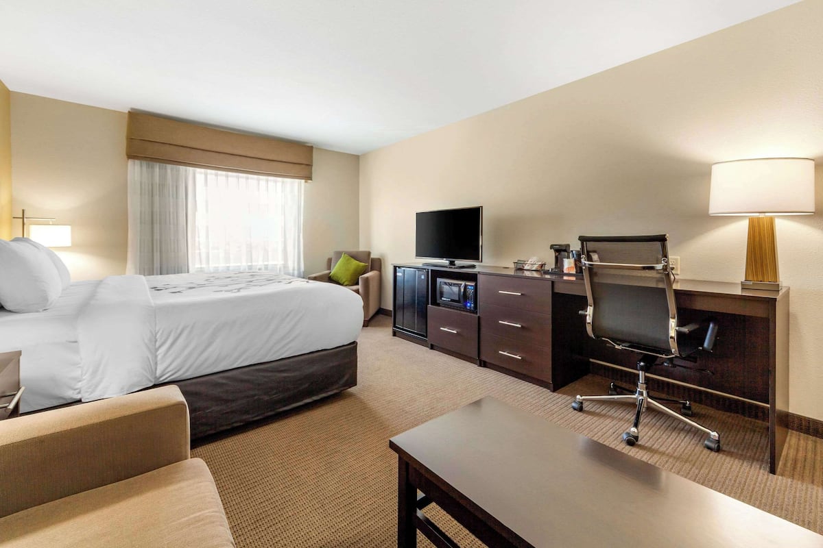 suite, 1 king bed with sofa bed | premium bedding, down duvets, desk, laptop workspace