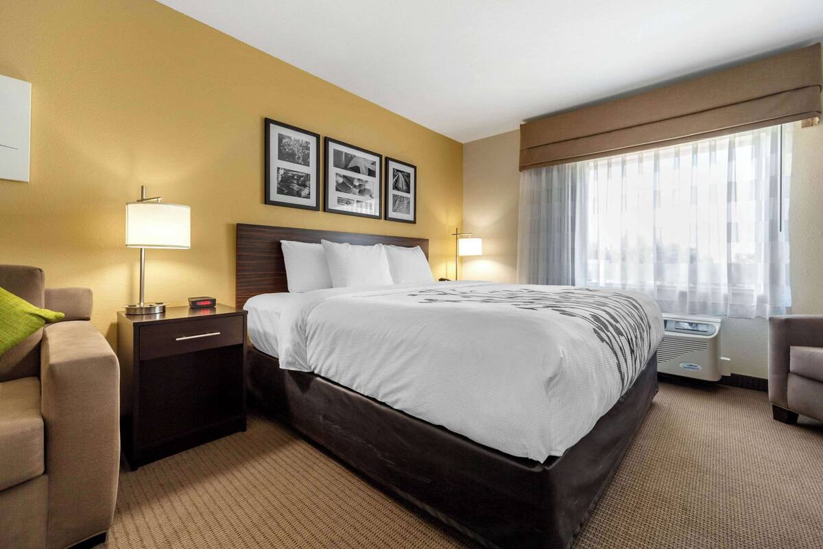 A hotel room with a large bed, a nightstand, a lamp, a chair, and a window with curtains.