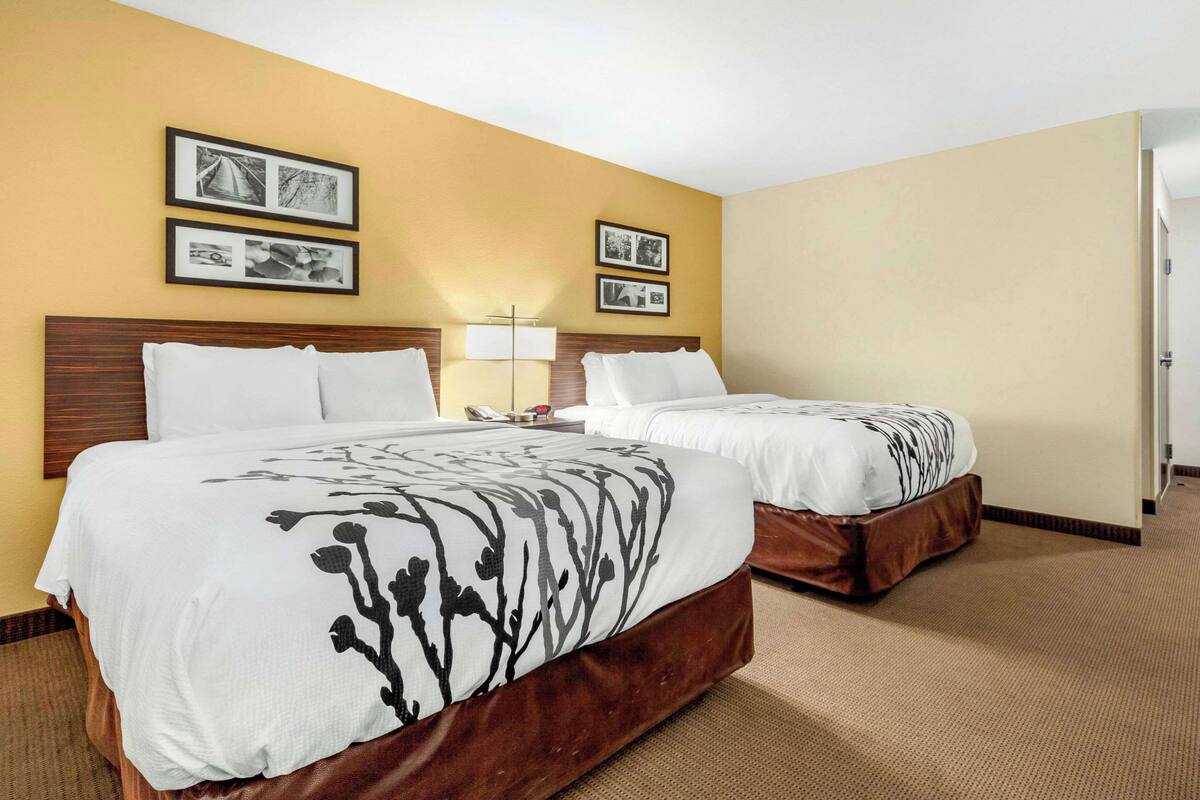 A hotel room with two beds, a wooden headboard, a lamp, and framed pictures on the wall.