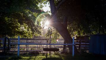 Kolam renang latihan/lintasan