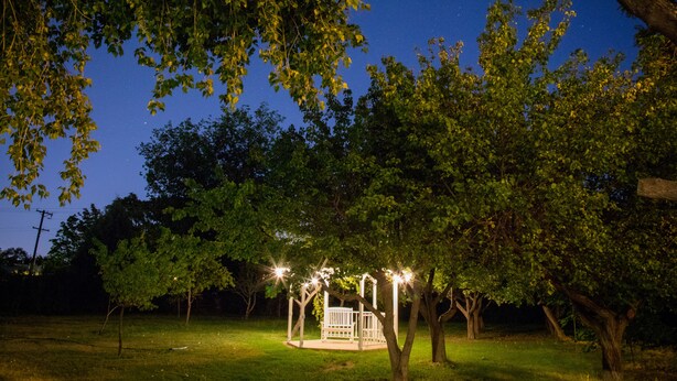 Un jardín de cedras con un mirador y un banco bajo un cielo estrellado.