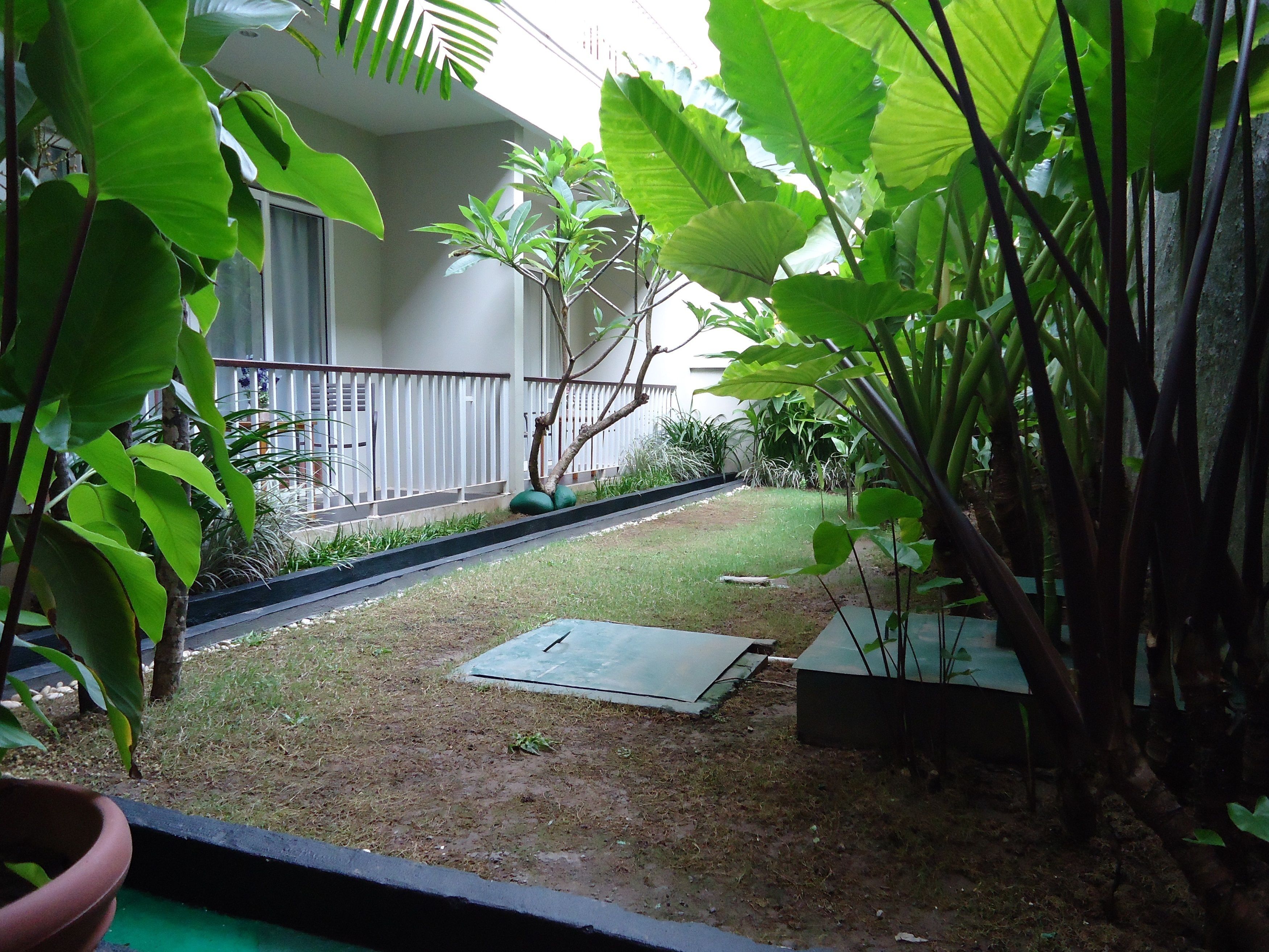 A small, enclosed garden area with a concrete pathway, surrounded by various plants and a small tree.