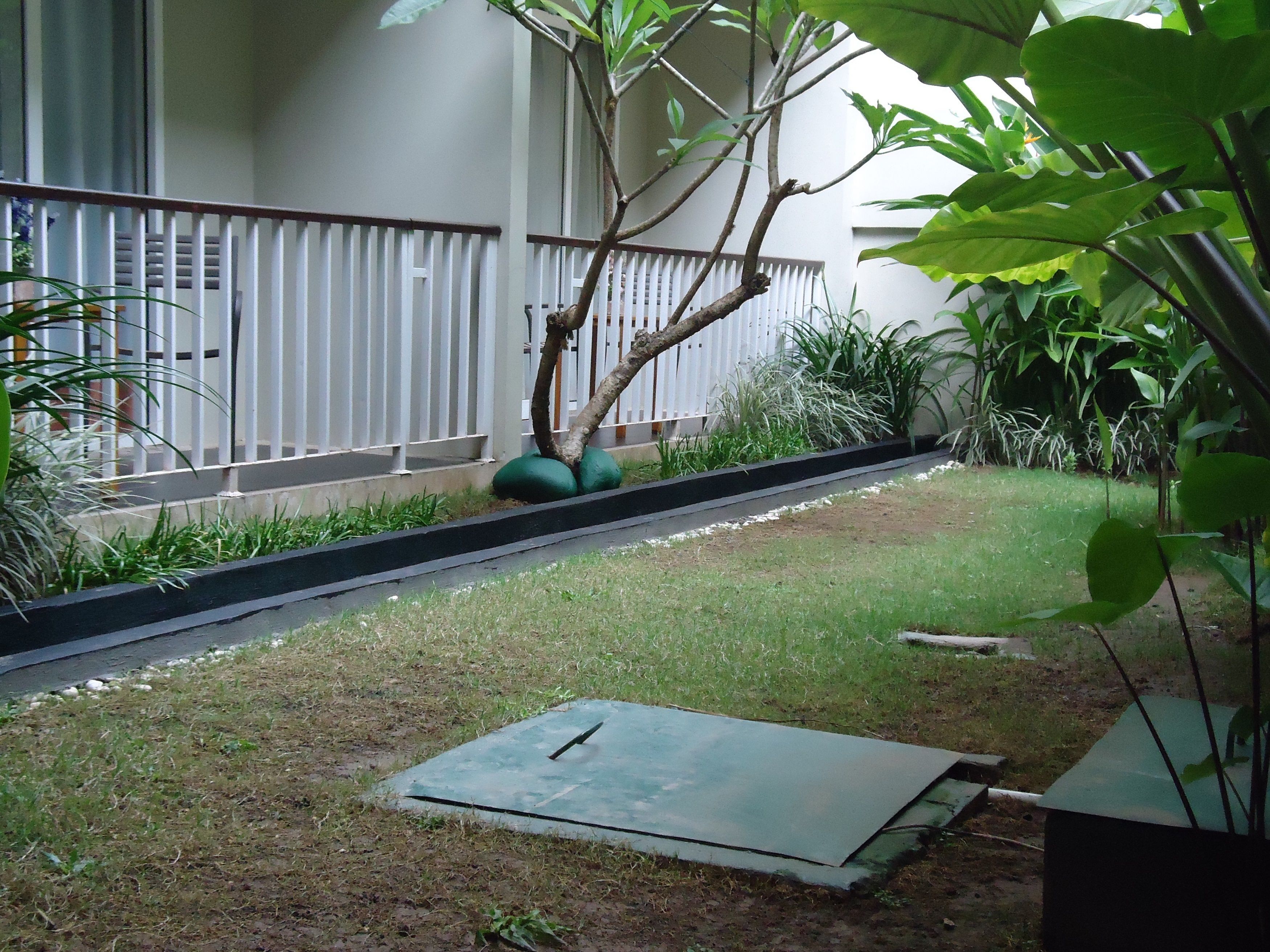 Un patio con un pequeño césped, una lámina de metal y un árbol.