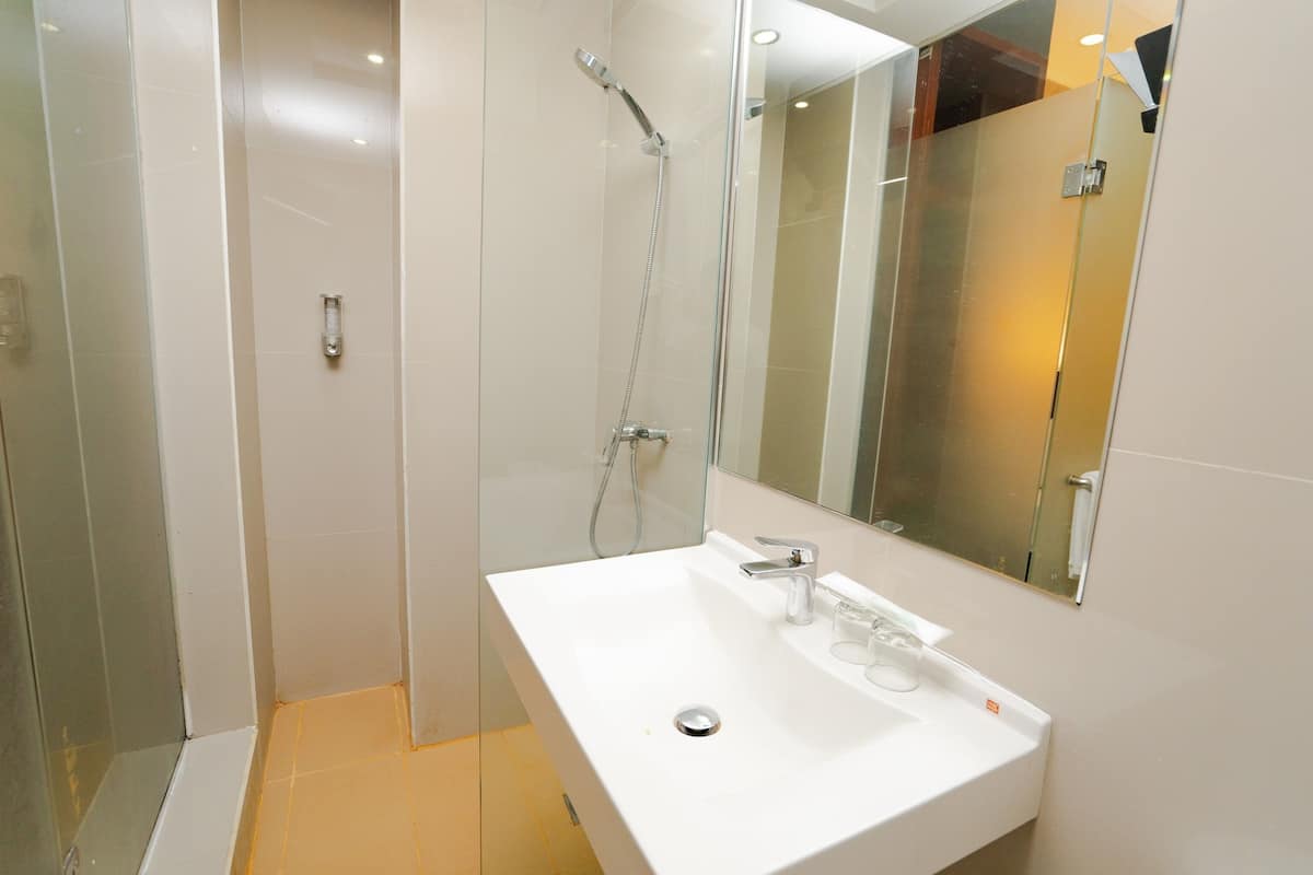 economy class | bathroom shower