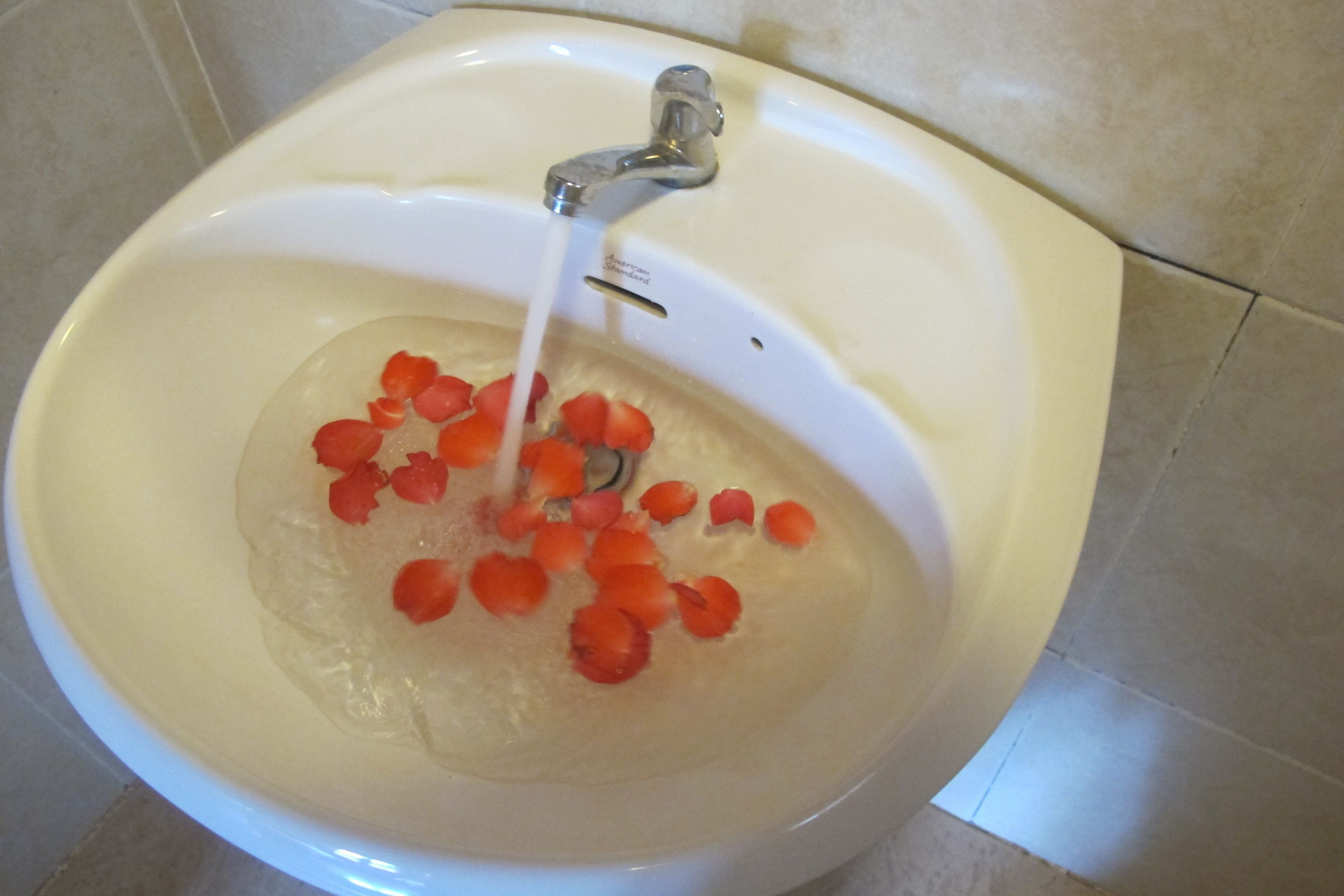 Un lavabo de salle de bain avec un robinet, de l’eau qui coule et des morceaux de fruits rouges dans le lavabo.
