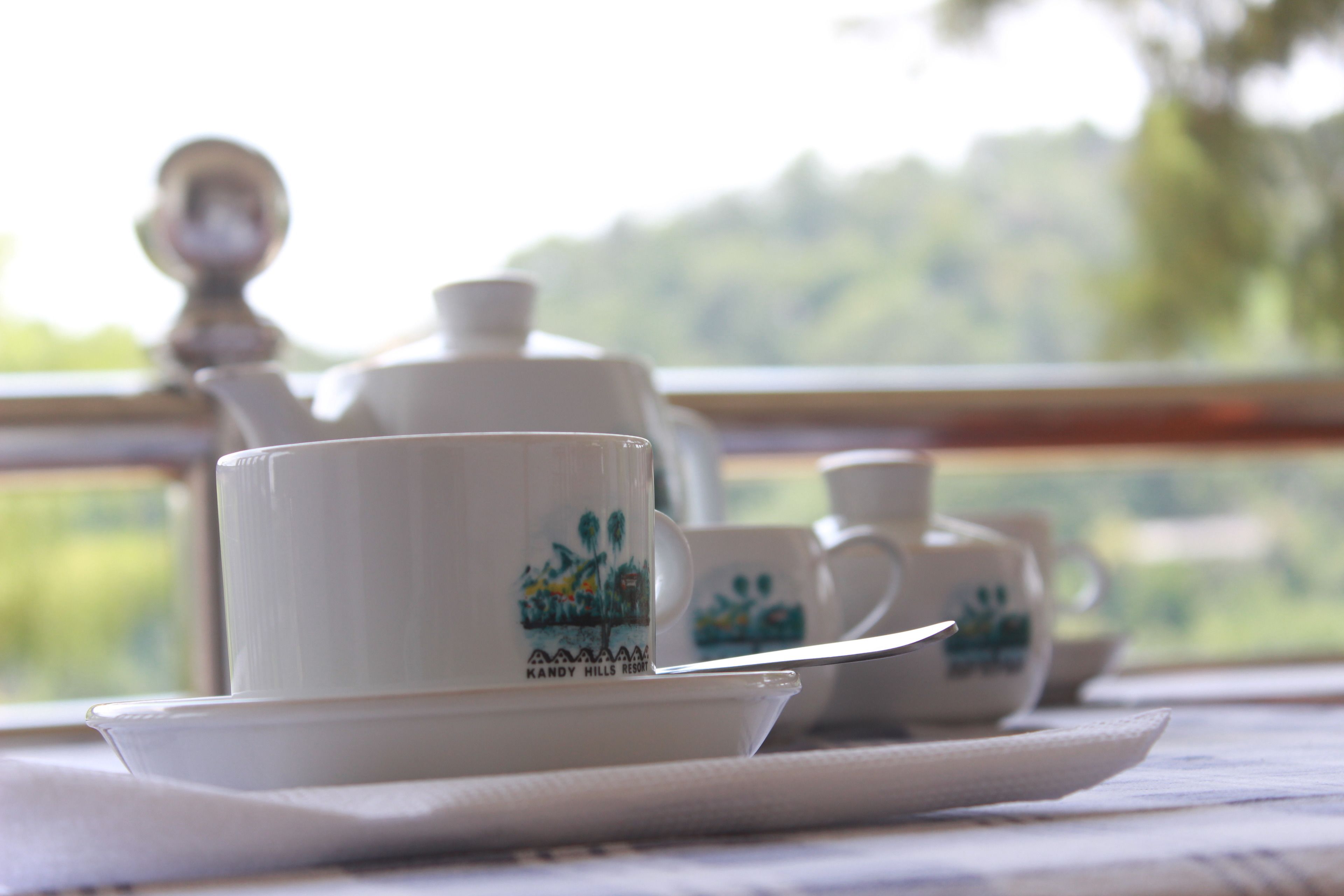 lunch and dinner served