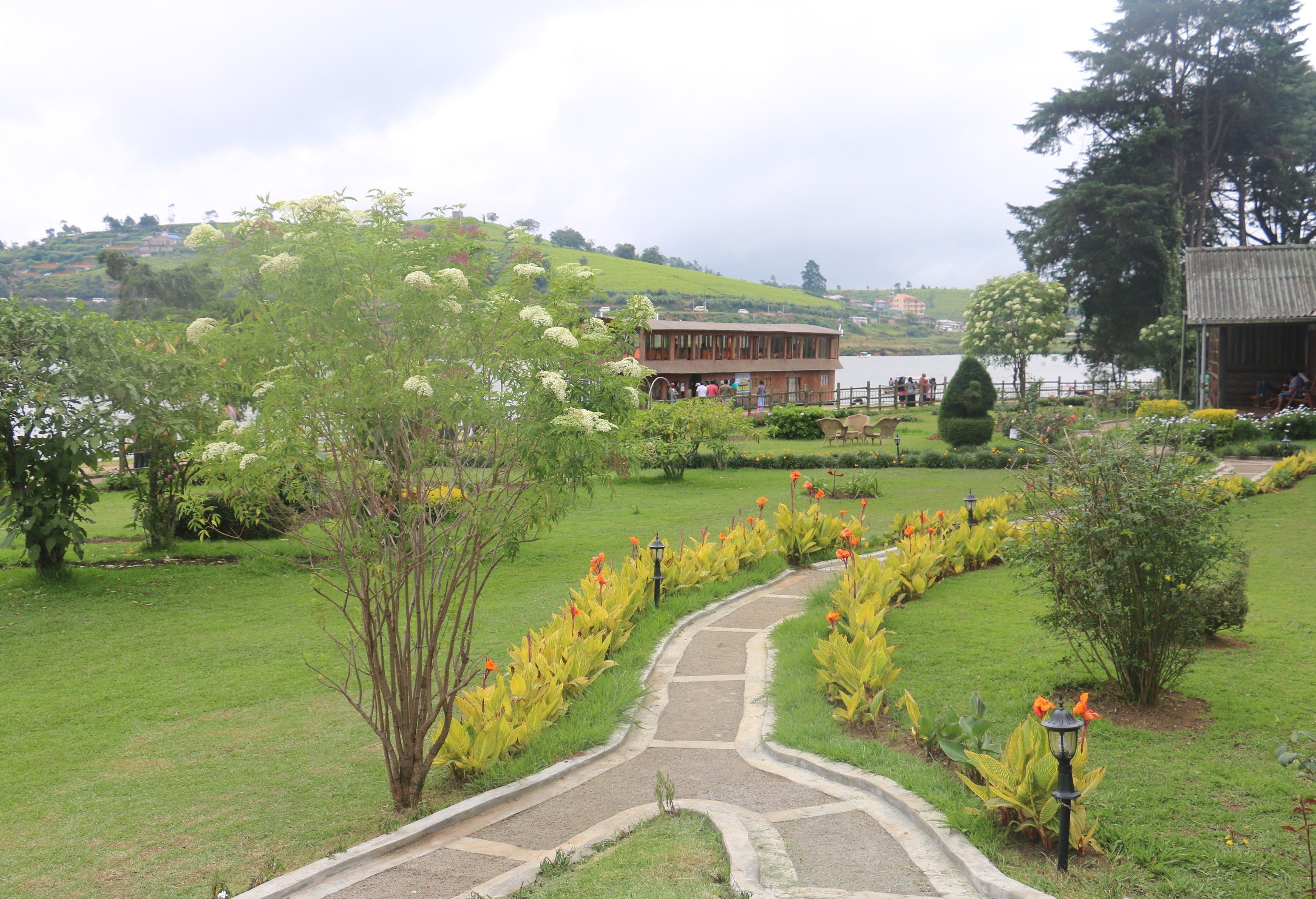 Garden