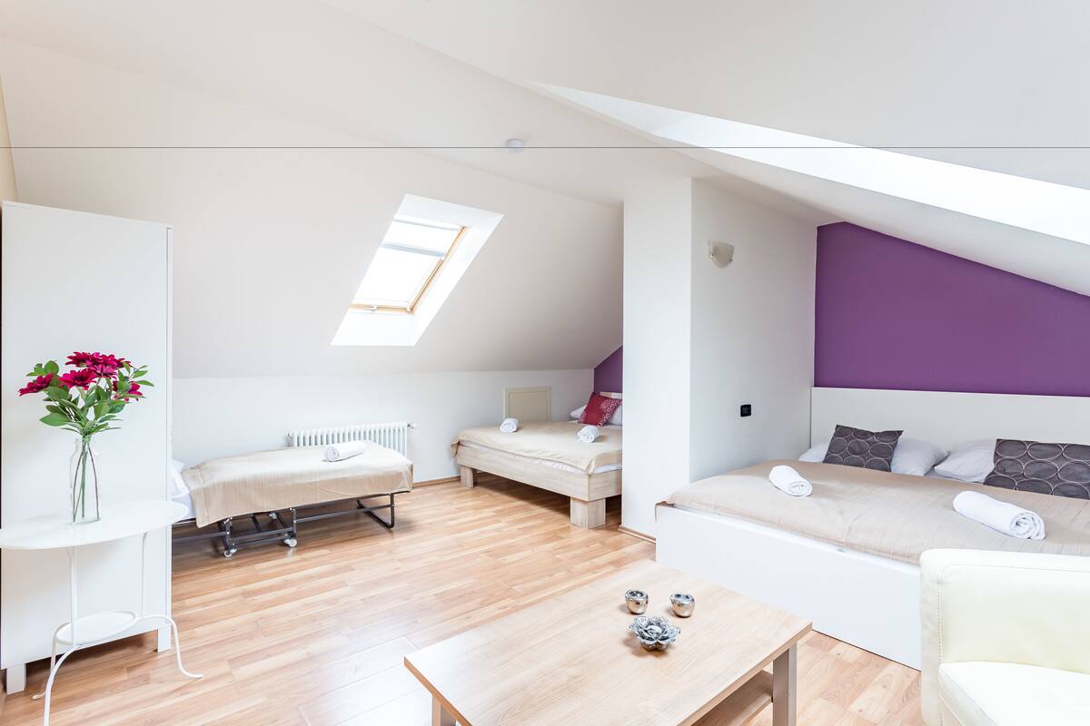 Central Penthouse 3 bedrooms with Terrace