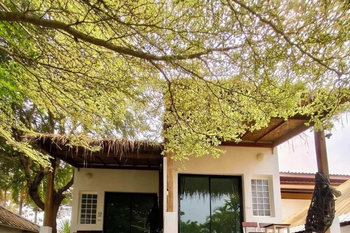 Una casa moderna con fachada blanca, techo de paja y un ventanal grande.