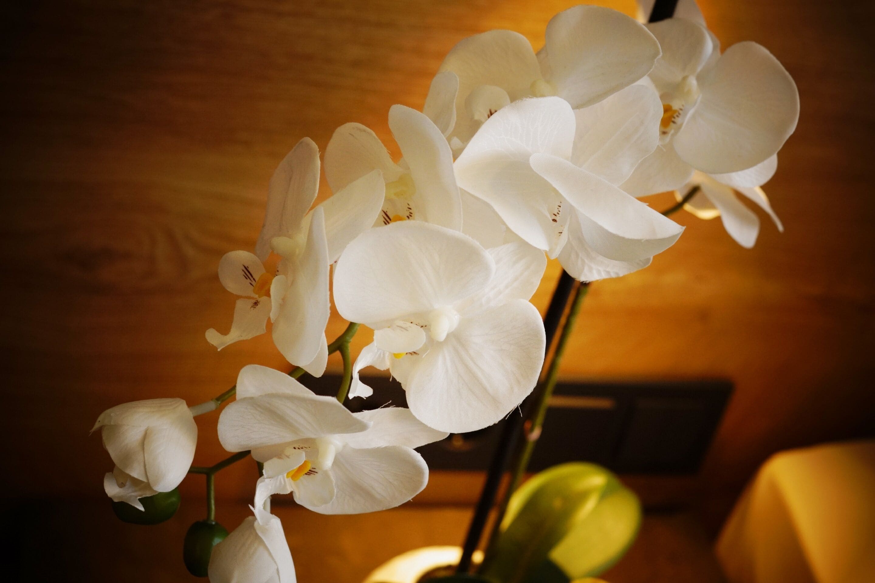 double room, 1 queen bed (q) | minibar, desk, blackout curtains, soundproofing