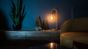 A cozy living room with a modern sofa, a potted plant, and a table lamp. - Akureyri Backpackers (Akureyri)