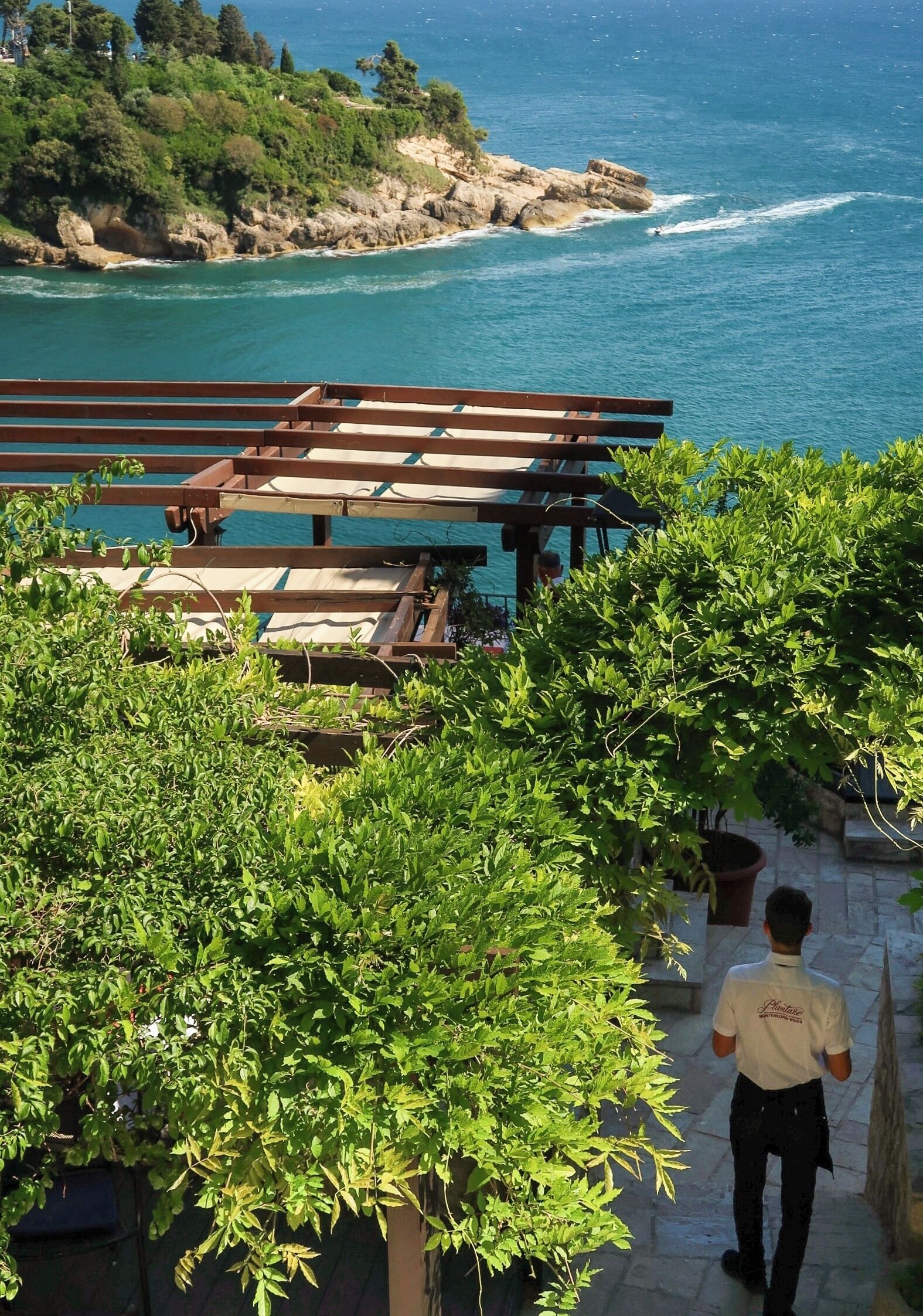 Vista de una zona costera con una terraza de madera que da al mar, rodeada de vegetación.