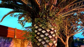 A palm tree with a decorative lattice trunk against a stone wall. - Hotel Finca Alcamino (Santa Cruz de Bezana)