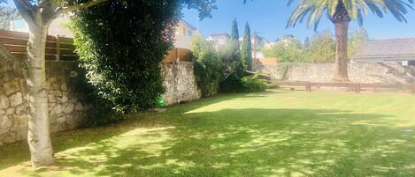 A well-maintained grassy yard with a stone wall, a palm tree, and a house in the background.