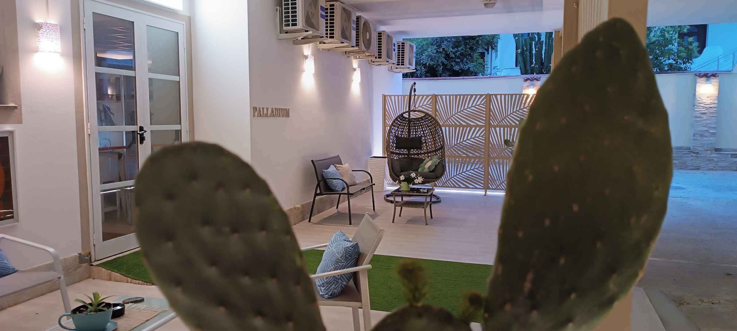 Una habitación con puerta de vidrio, una silla colgante, una mesita y un cactus al frente.