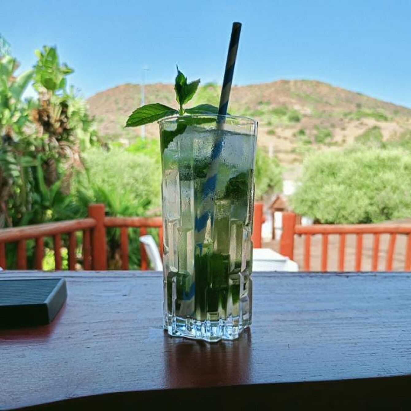 Ein klares Glas mit Strohhalm und Minzblättern auf einem Holztisch, im Hintergrund Grün und Hügel.