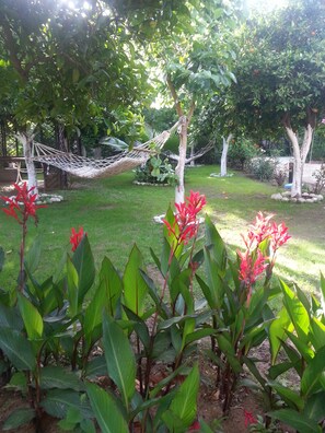 Vue depuis l’hébergement