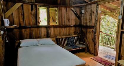 Natty Tropical Valley