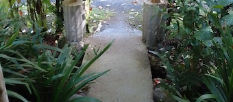 Natty Tropical Valley