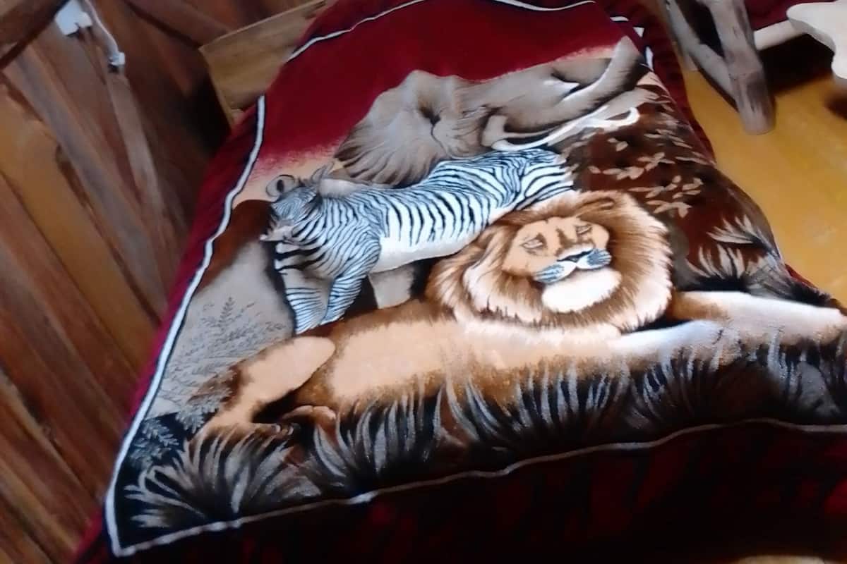 A bed with a red blanket and a pillow with a lion and zebra design.