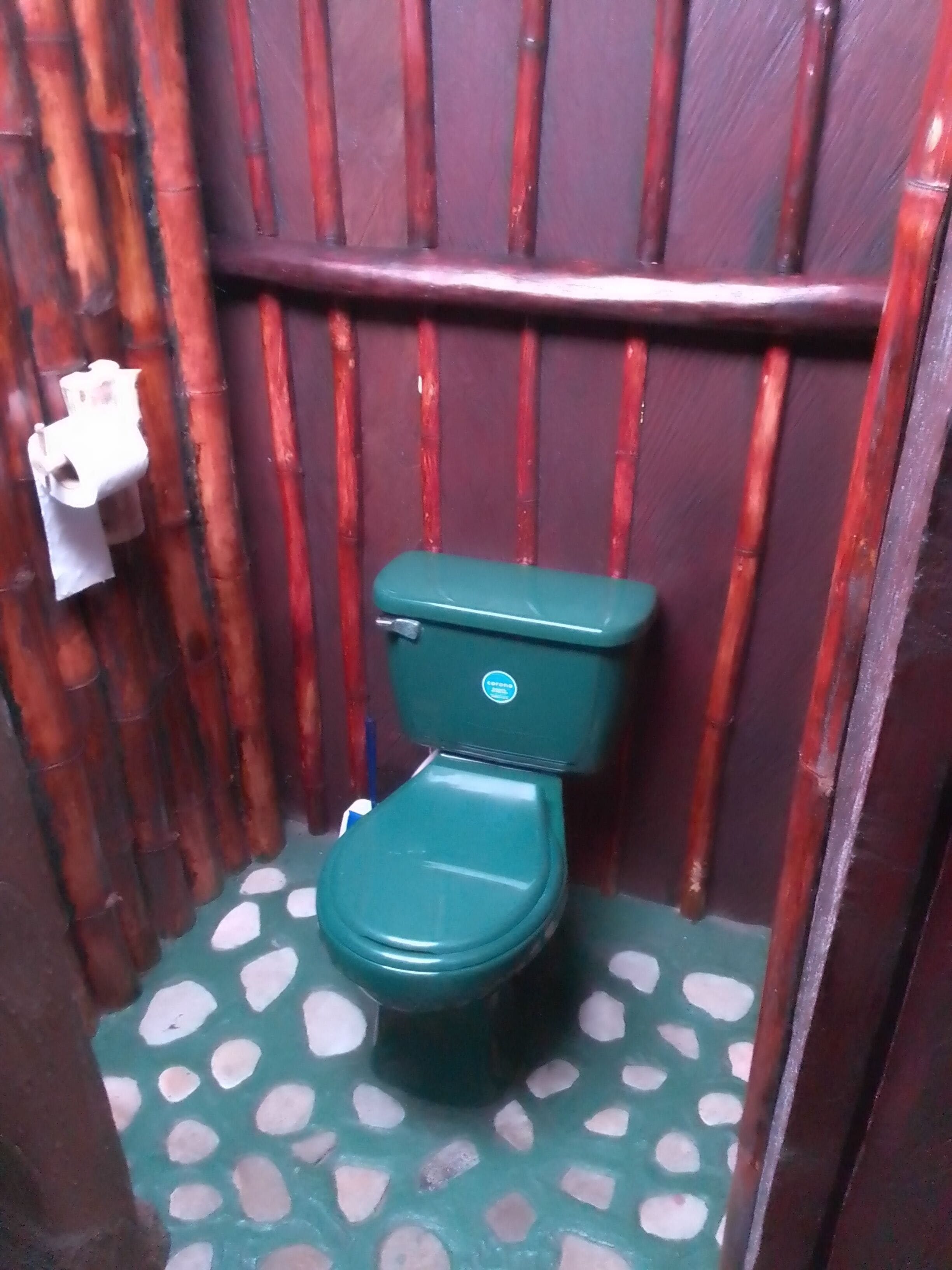 Uma casa de banho pequena e fechada com sanita verde, parede de bambu e soalho estampado.