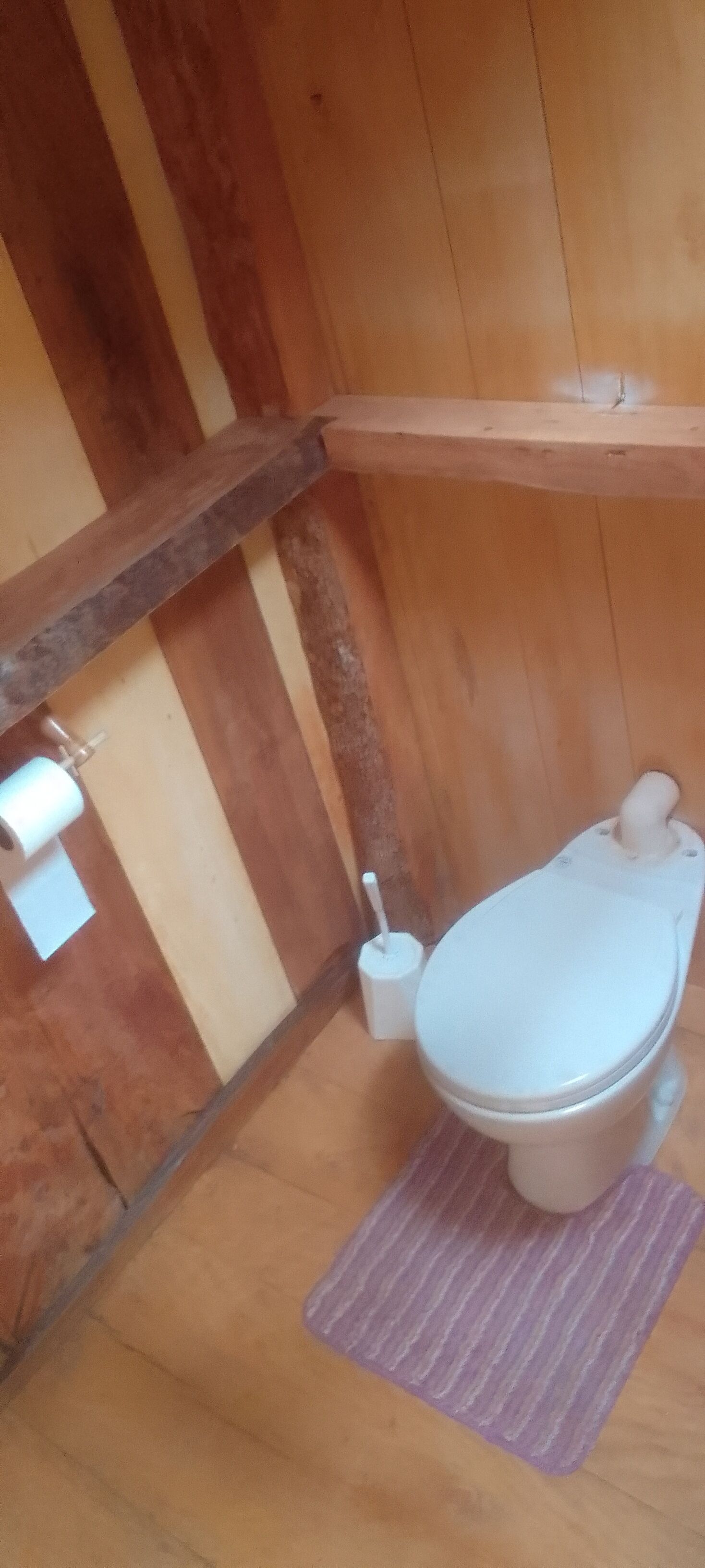 A wooden bathroom with a toilet, a roll of toilet paper, and a toilet brush.
