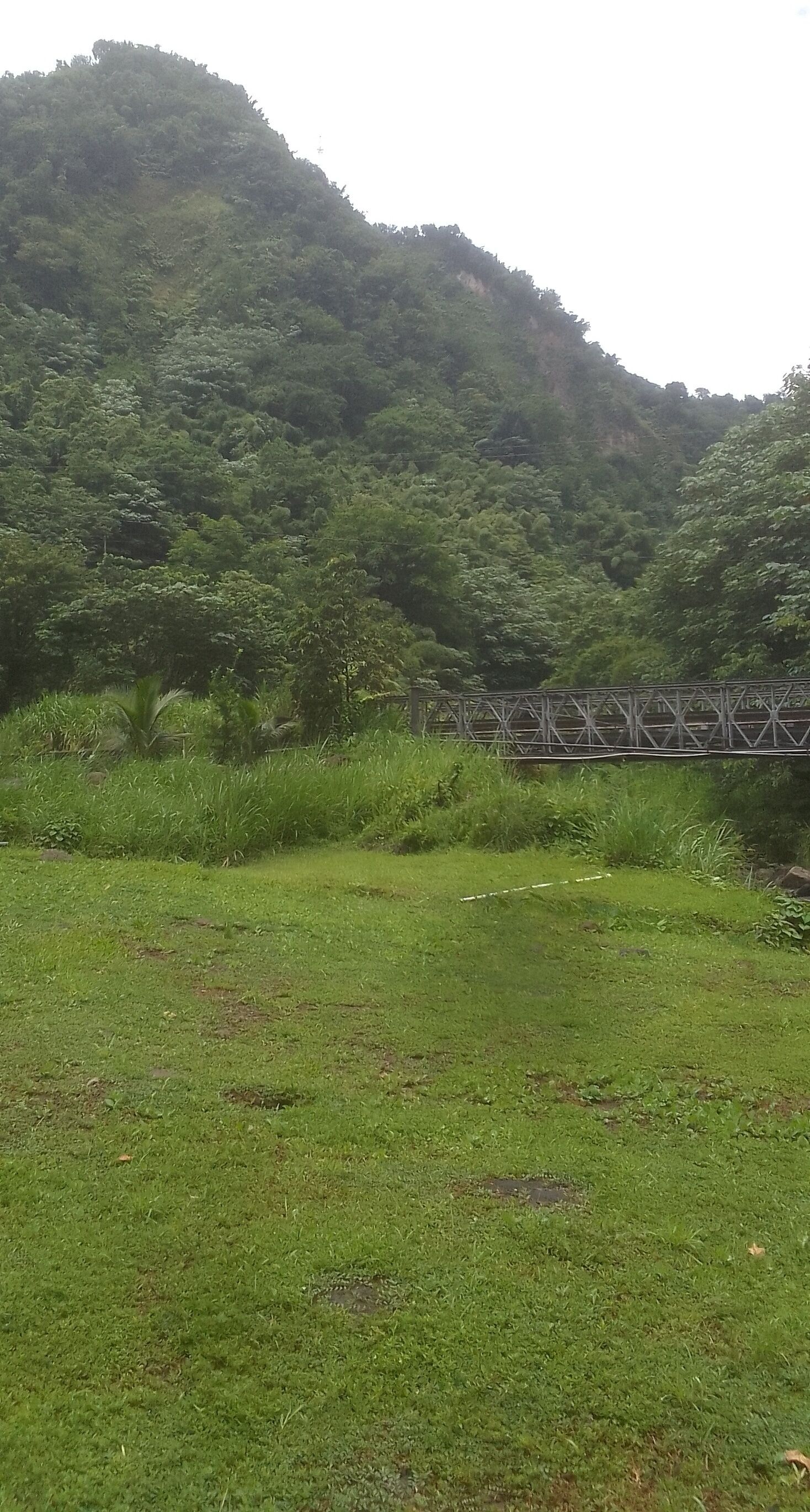 A grassy area with a metal bridge over a stream, surrounded by dense forest.