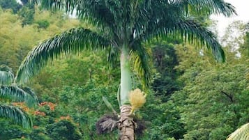 Façana frontal de l'allotjament