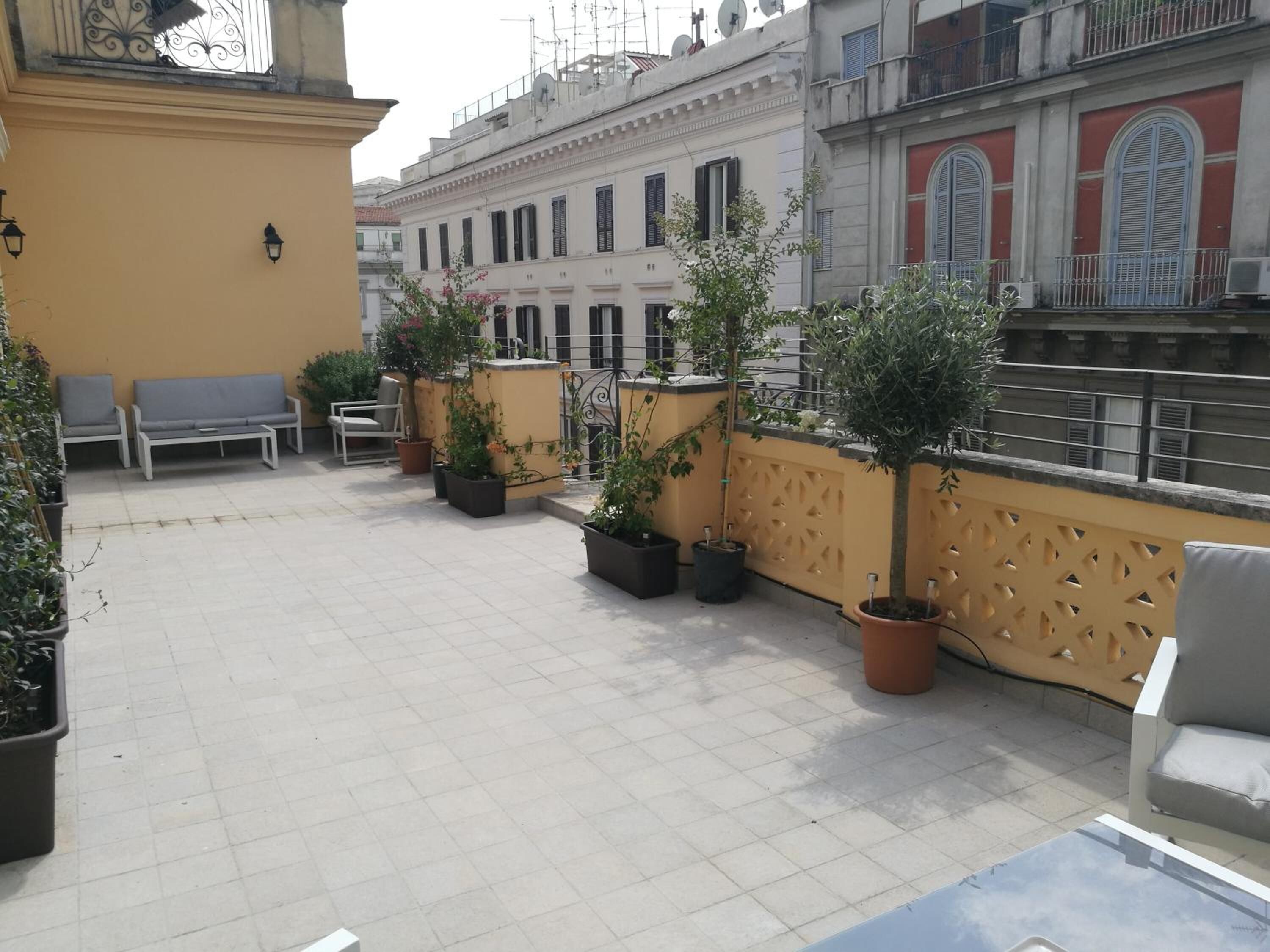 Terraza en la azotea con plantas en macetas, mobiliario exterior y vistas de edificios circundantes.
