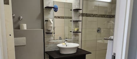 Une salle de bain avec des toilettes, un lavabo et une douche.