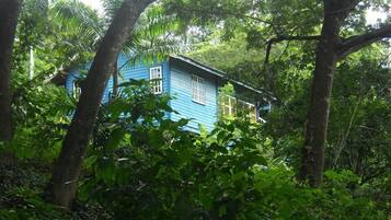 A blue house surrounded by dense green foliage.