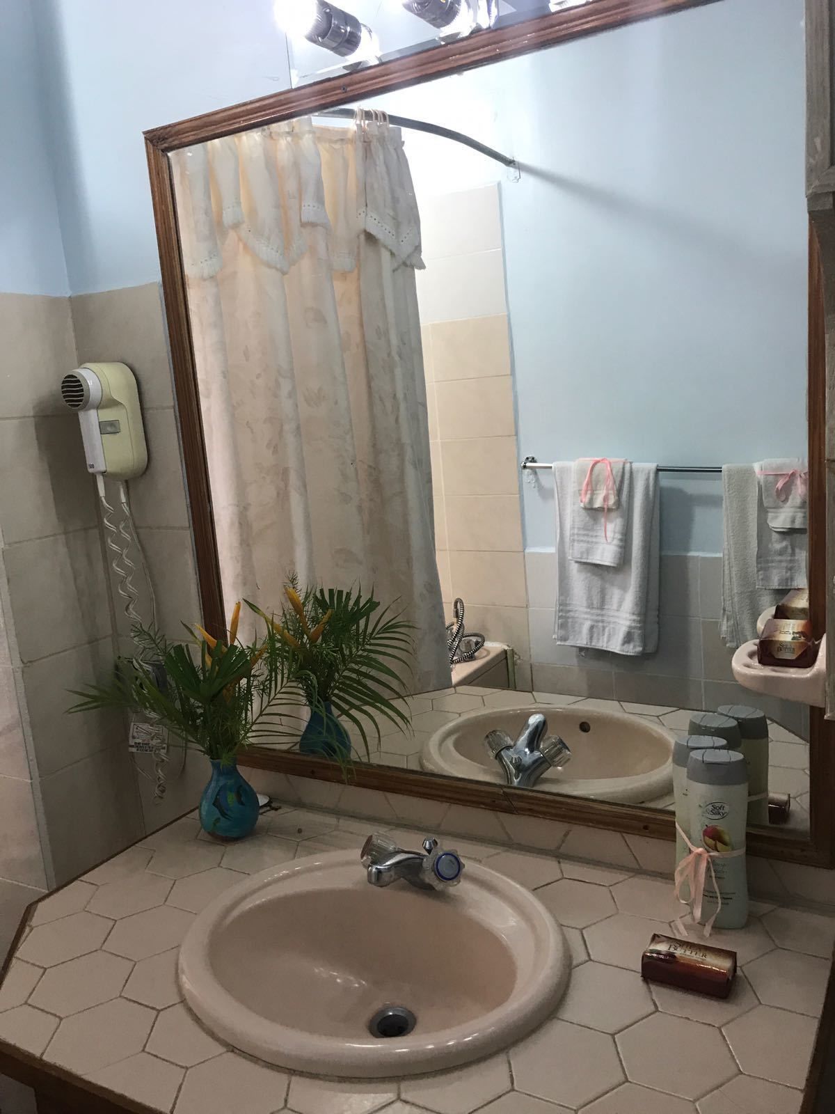 A bathroom with a large mirror, a sink, a hairdryer, a plant, and towels on a rack.