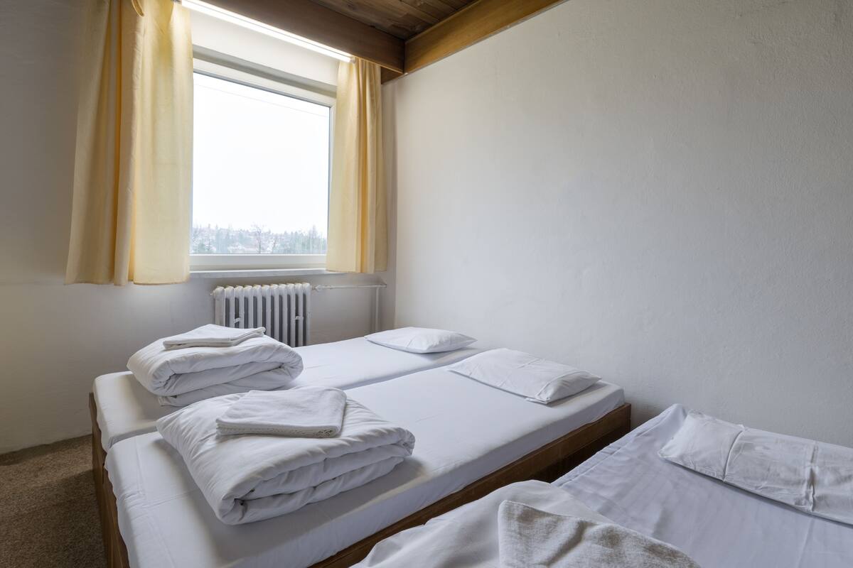 Triple Room, Shared Bathroom, City View | Free WiFi
